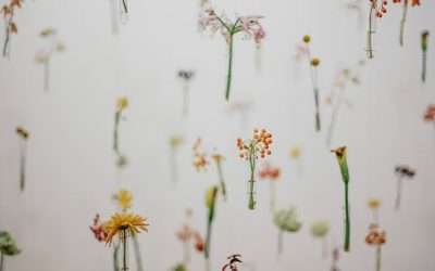 Are Your Favorite Fragrances Hiding Hormone Disrupting Chemicals?