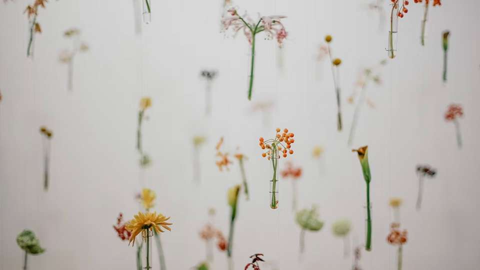 Are Your Favorite Fragrances Hiding Hormone Disrupting Chemicals?