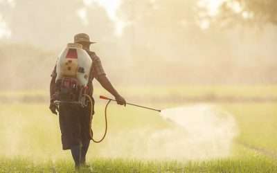 The Parkinson’s Belt: What You Need to Know if You Live in the Midwest and Southern States