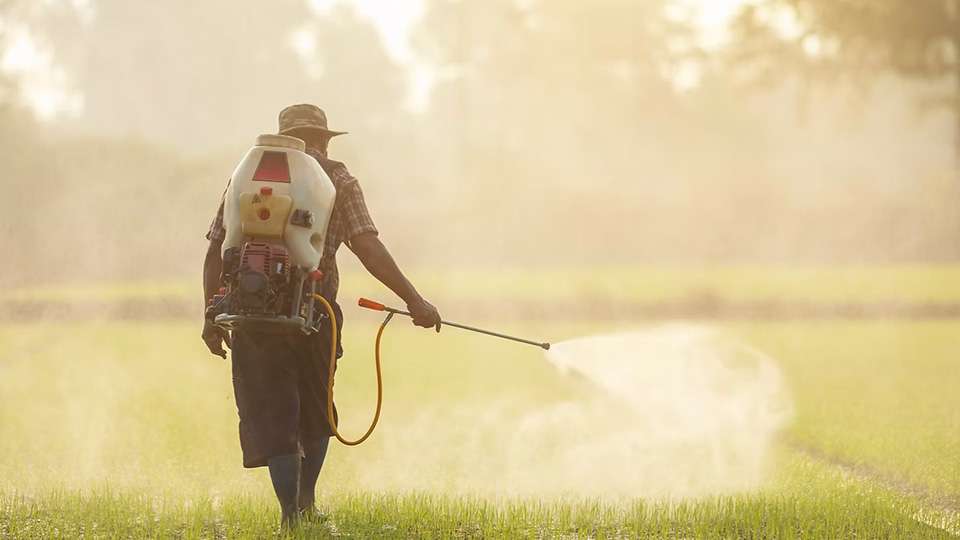 The Parkinson’s Belt: What You Need to Know if You Live in the Midwest and Southern States