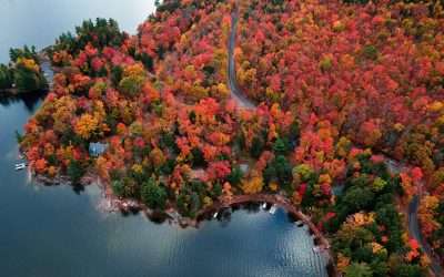 Harnessing the Power of the Autumn Equinox for Neurological Well-Being