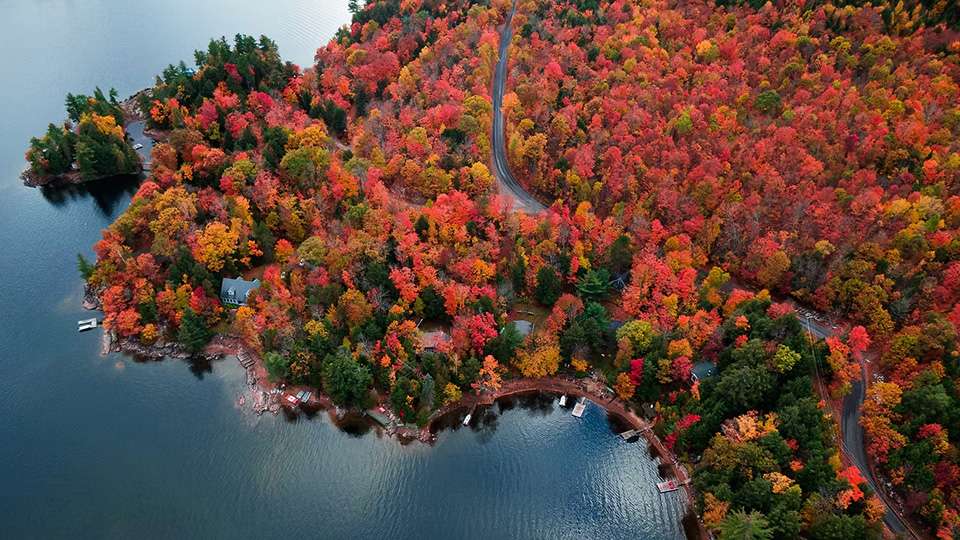 Harnessing the Power of the Autumn Equinox for Neurological Well-Being