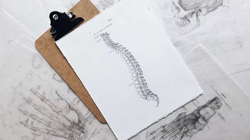 Chiropractic, A Neurologic Intervention?