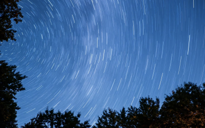 Dizziness Vs. Vertigo
